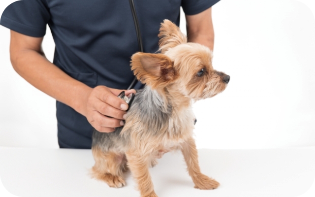 メイン画像名前