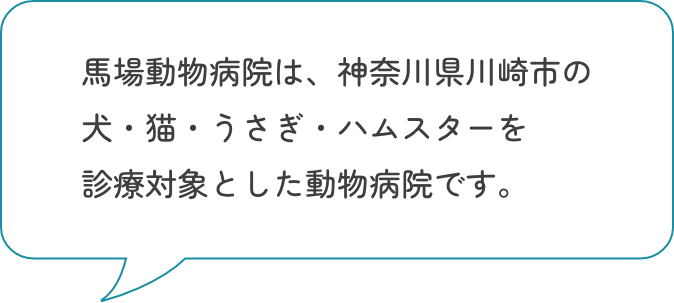 メイン画像名前