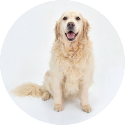 メイン画像名前