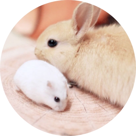 メイン画像名前